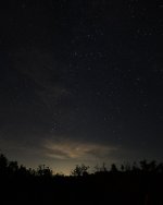 stary night 001.jpg
