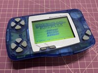 IMG_6505.jpeg
