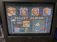 IMG_8997.jpeg