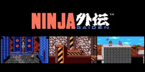 SI_3DSVC_NinjaGaiden_image1600w.webp