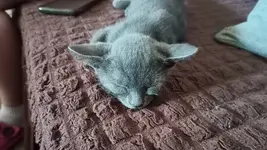 IMG20250705161210.webp IMG20250705161210.webp