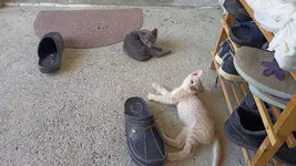 IMG20250708104221.webp IMG20250708104221.webp