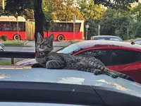 1000046704.webp 1000046704.webp