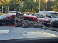 1000046706.webp 1000046706.webp