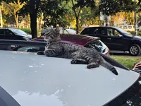 1000046703.webp 1000046703.webp