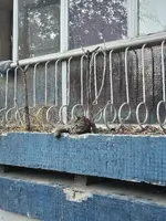 1000046708.webp 1000046708.webp