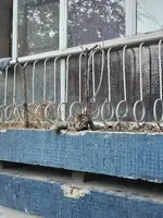 1000046709.webp 1000046709.webp