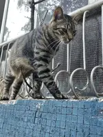 1000046712.webp 1000046712.webp