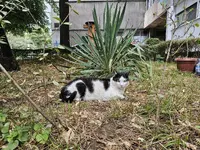 1000049637.webp 1000049637.webp