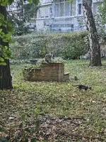 1000049655.webp 1000049655.webp