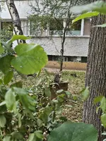 1000049658.webp 1000049658.webp