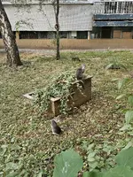 1000049661.webp 1000049661.webp