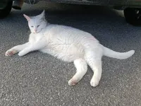 photo_2025-08-09_21-12-49.webp photo_2025-08-09_21-12-49.webp