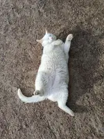 photo_2025-08-01_19-11-58.webp photo_2025-08-01_19-11-58.webp