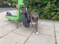 photo_2025-08-01_23-39-06.webp photo_2025-08-01_23-39-06.webp