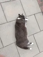 photo_2025-08-09_21-12-50.webp photo_2025-08-09_21-12-50.webp