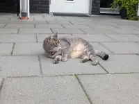 photo_2025-08-08_18-42-58 (2).webp photo_2025-08-08_18-42-58 (2).webp