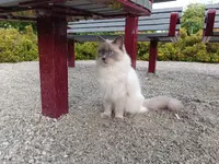 photo_2025-08-09_21-12-51.webp photo_2025-08-09_21-12-51.webp