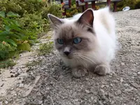 photo_2025-08-09_21-12-48.webp photo_2025-08-09_21-12-48.webp