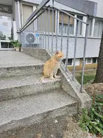 1000053384.webp 1000053384.webp