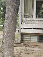 1000053376.webp 1000053376.webp