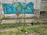 1000053374.webp 1000053374.webp