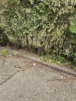 1000053372.webp 1000053372.webp