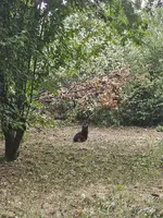 1000053358.webp 1000053358.webp