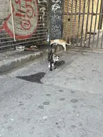 1000053695.webp 1000053695.webp