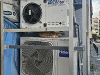 1000053689.webp 1000053689.webp