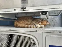 1000053692.webp 1000053692.webp