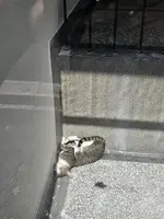 1000053652.webp 1000053652.webp