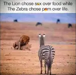FB_IMG_1778522698039.webp