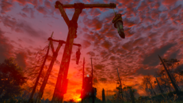 screenshot_0520.png